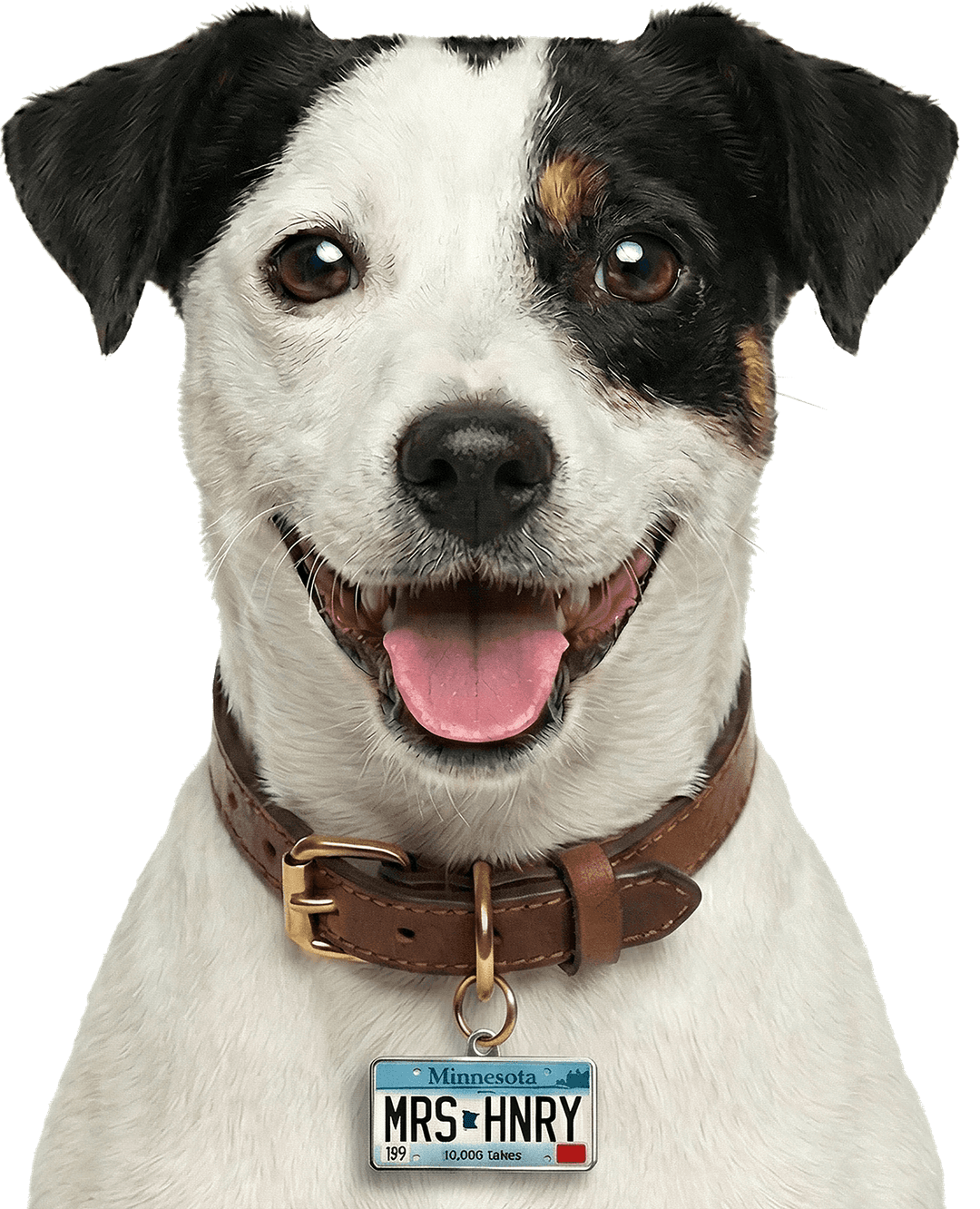 Mrs. Henry — the remarkably telepathic terrier