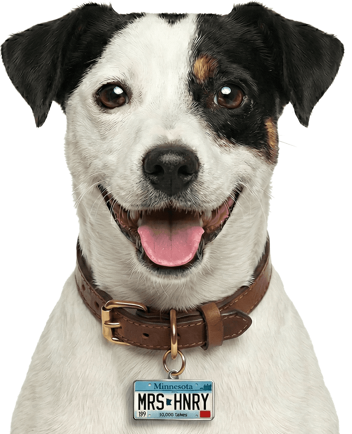 Mrs. Henry — the remarkably telepathic terrier
